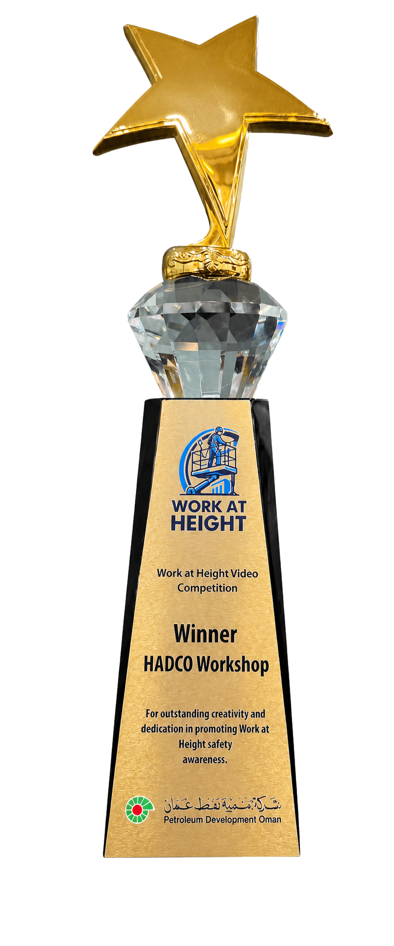 Winner trophy — Work at Height Video Competition